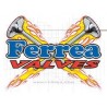Ferrea valves